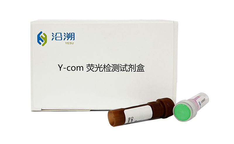 Y-com