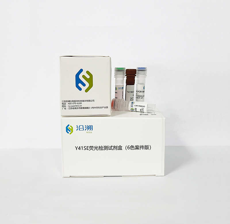 Y41SE(6色案件)